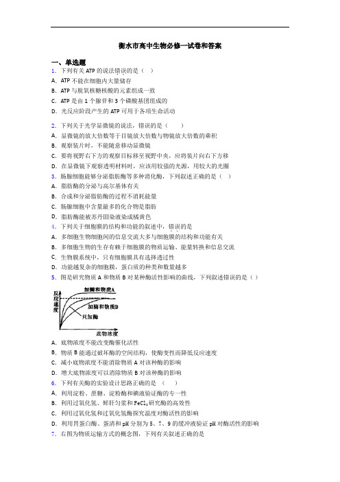 衡水市高中生物必修一试卷和答案