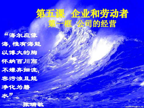 高中政治 第五课 《企业与劳动者》 第一框 《公司的经营》课件 新人教必修1