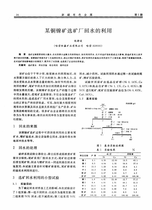 某铜镍矿选矿厂回水的利用