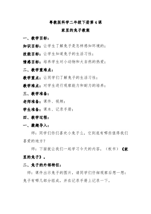 粤教版二年级下册科学第4课家里的兔子教案