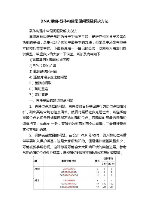 DNA重组-载体构建常见问题及解决方法