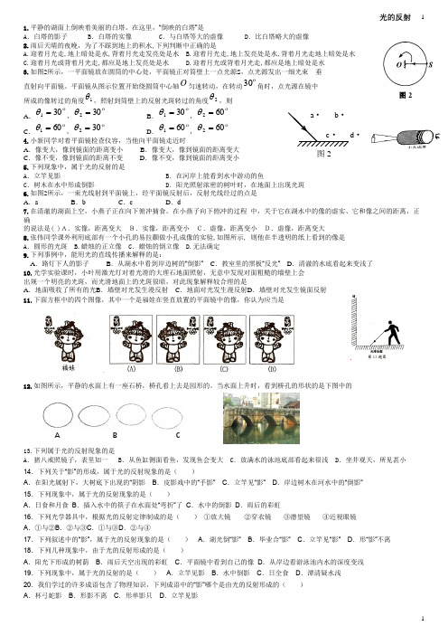 初中物理  光的反射练习题