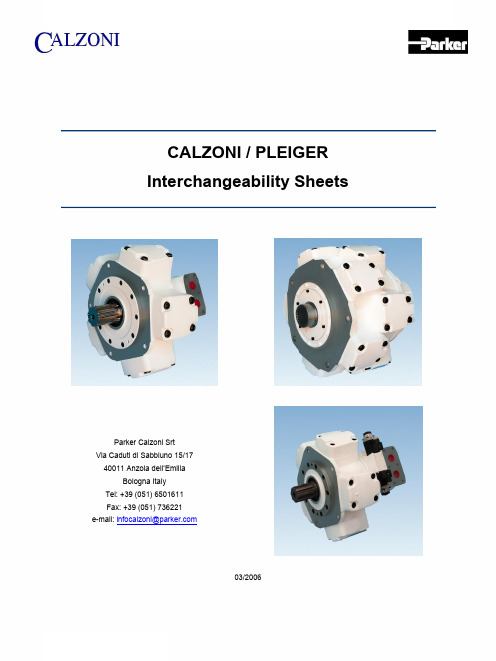 Calzoni Pleiger 交换性表 RCOe8100 03.06说明书