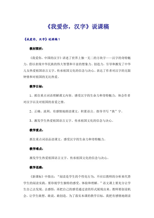 《我爱你,汉字》说课稿