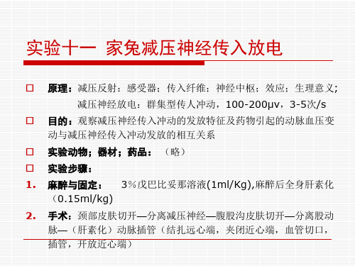 实验四家兔呼吸运动的反射性调节