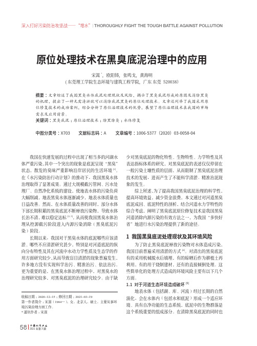 原位处理技术在黑臭底泥治理中的应用