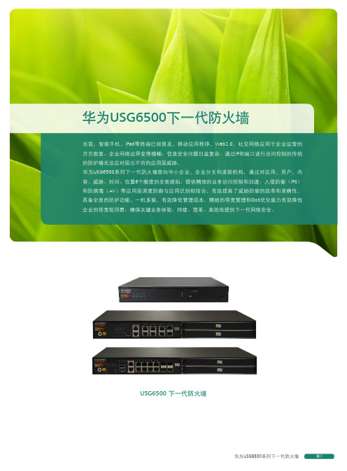 华为USG6500系列下一代防火墙详版彩页