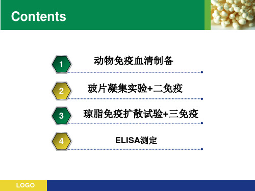 实验一抗血清制备