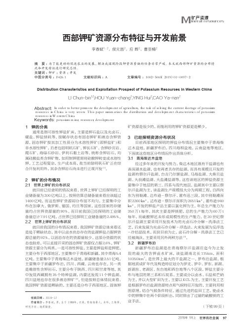 西部钾矿资源分布特征与开发前景