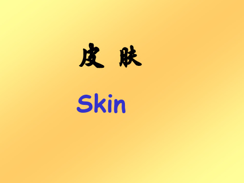 皮肤skin--组织学与胚胎学