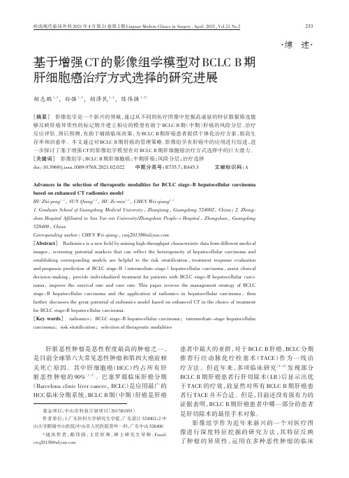 基于增强CT的影像组学模型对BCLC B期肝细胞癌治疗方式选择的研究进展