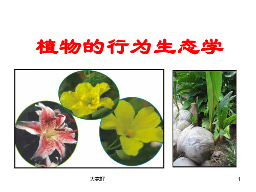 分子生态学-植物的行为生态学-PPT