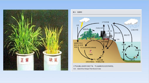 第二节第二课时 氨和铵盐课件高一下学期化学人教版必修第二册