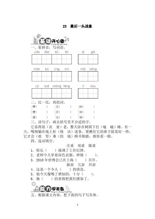 《最后一头战象》课后检测