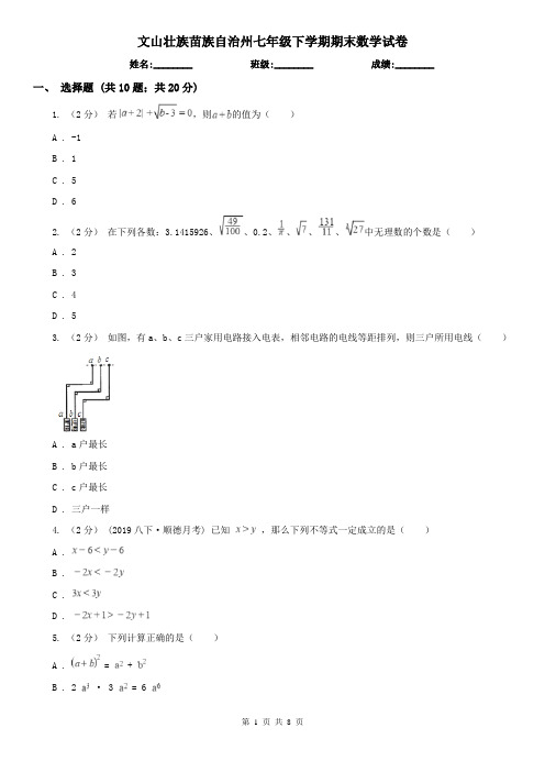 文山壮族苗族自治州七年级下学期期末数学试卷