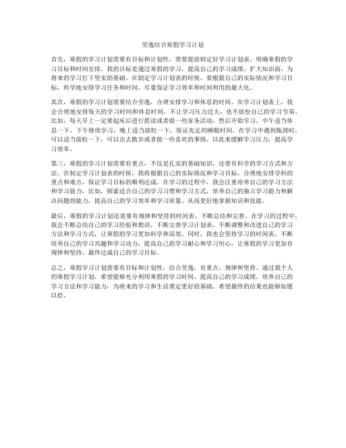 劳逸结合寒假学习计划