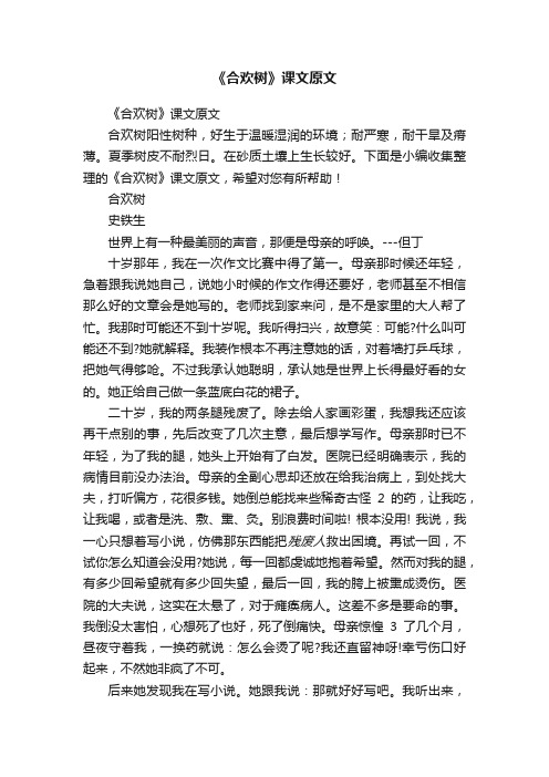 《合欢树》课文原文