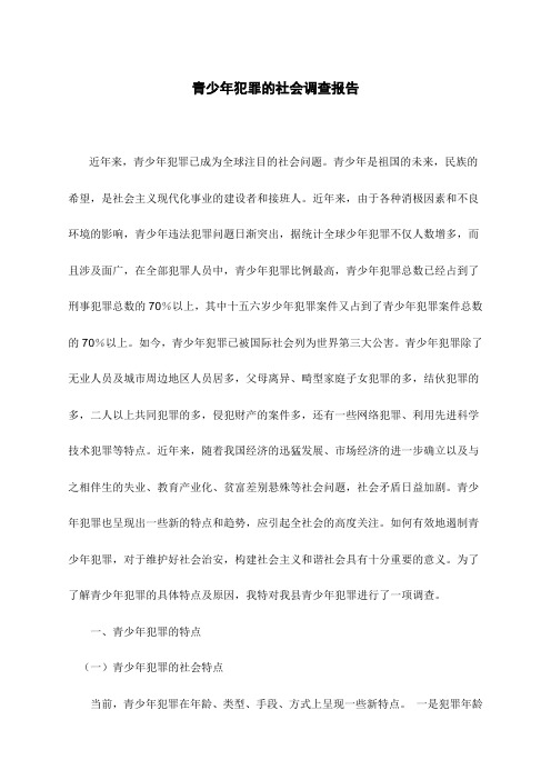 青少年犯罪的社会调查报告