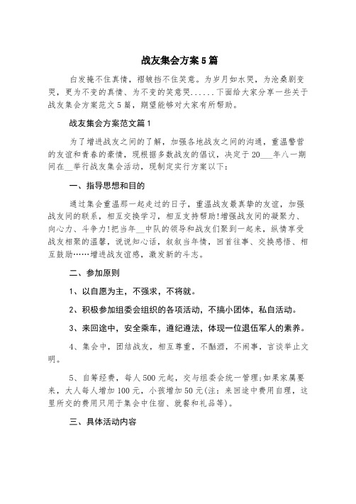 战友聚会方案5篇