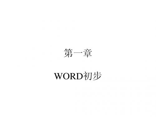 Word第一章