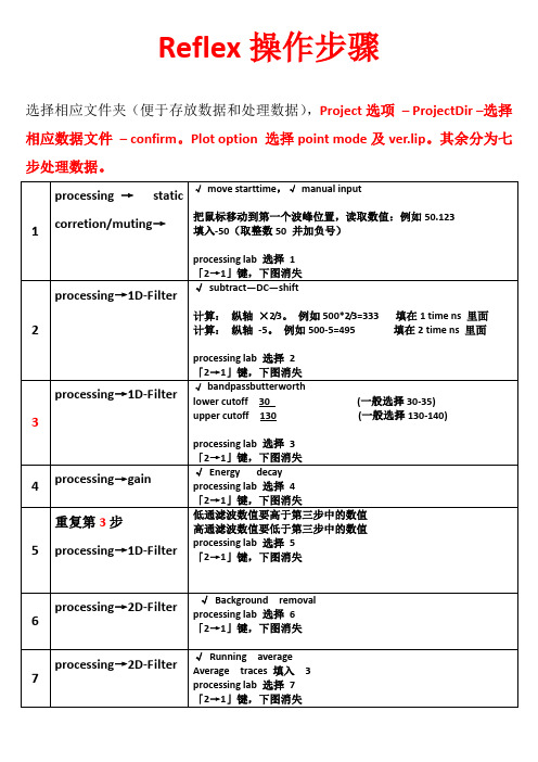 REFLEX处理雷达数据指南