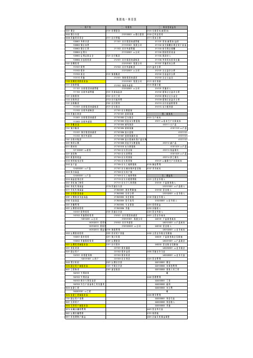 某集团会计科目表