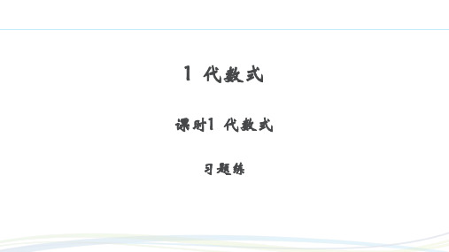 北师大版2024新版七年级数学上册习题练课件:3.1 课时1 代数式