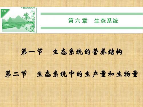 【创新设计】高中生物 6-1,6-2生态系统的营养结构生态系统中的生产量和名师优质课件 浙科版必修3
