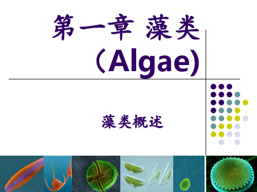 2第一章藻类Algae ppt课件