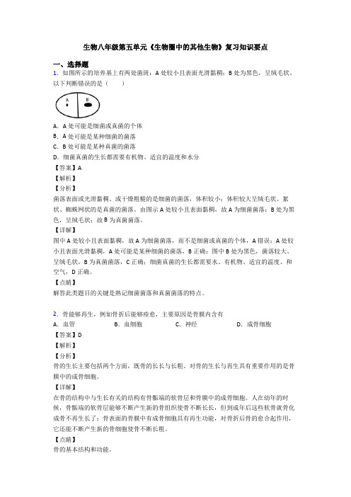 生物八年级第五单元《生物圈中的其他生物》复习知识要点