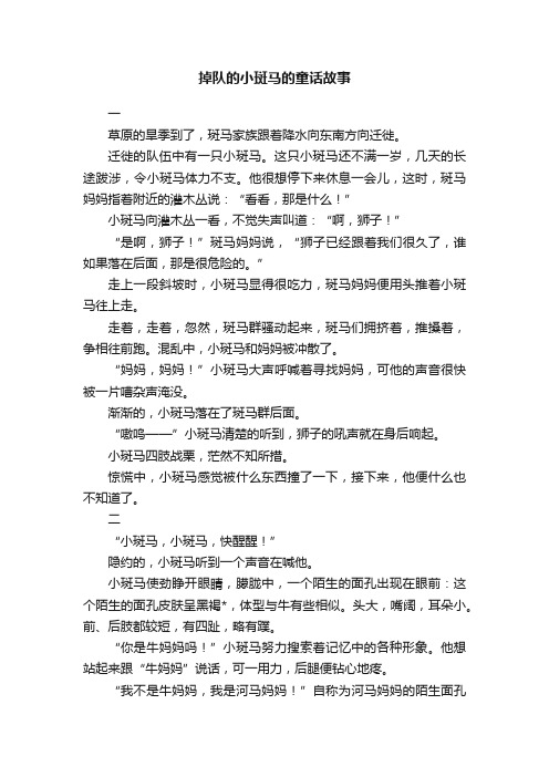 掉队的小斑马的童话故事