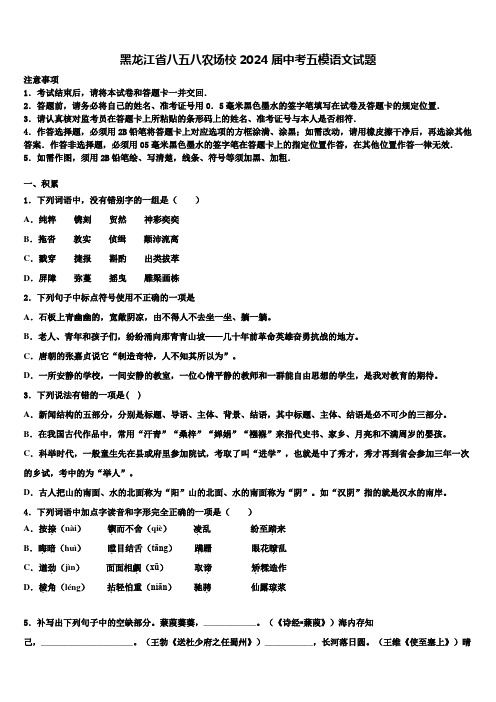 黑龙江省八五八农场校2024届中考五模语文试题含解析