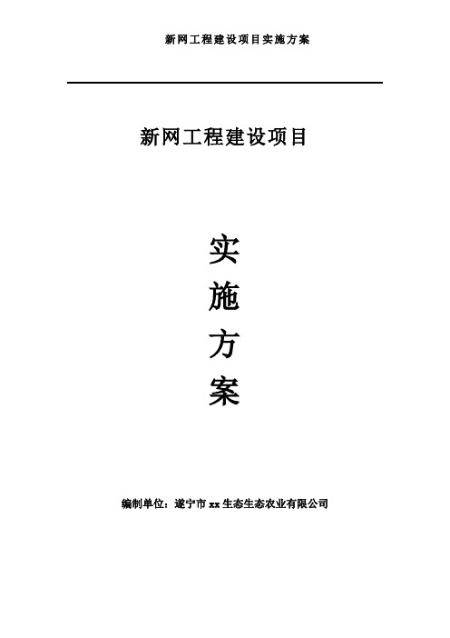 新网工程建设项目总体规划