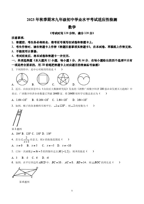 广西壮族自治区玉林市北流市2023-2024学年九年级上学期期末数学试题(含答案)