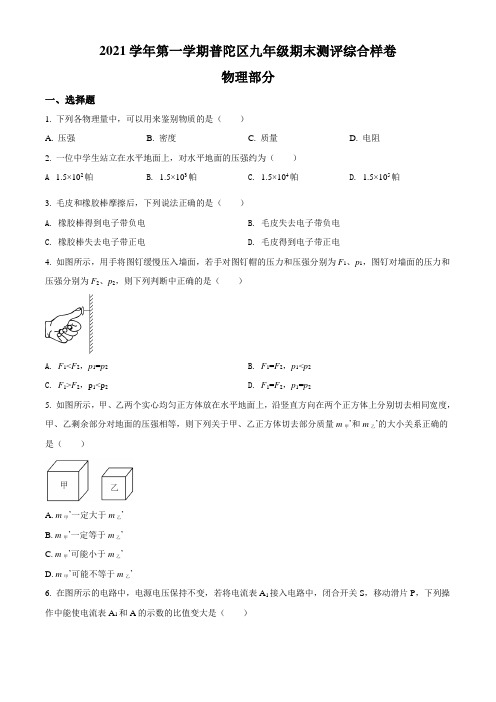 上海市普陀区2021-2022学年九年级中考一模物理试题带详解