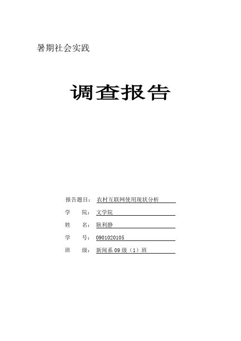 农村互联网使用现状分析