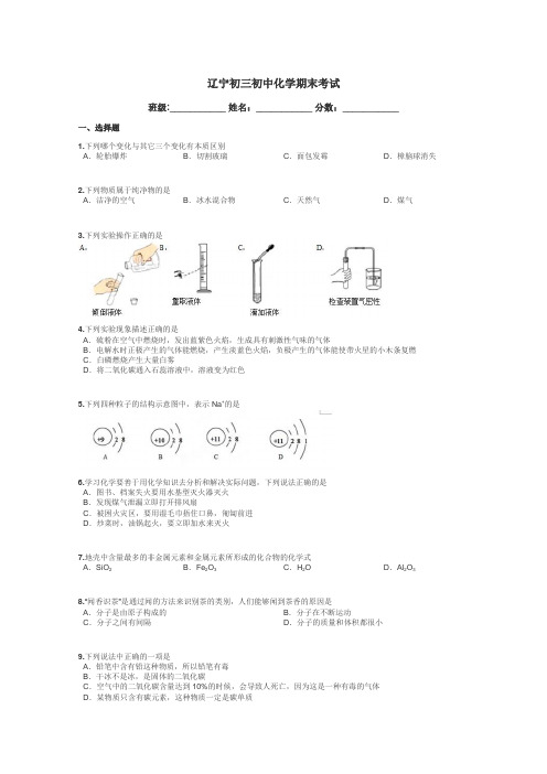 辽宁初三初中化学期末考试带答案解析
