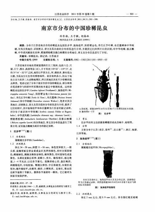 南京市分布的中国珍稀昆虫