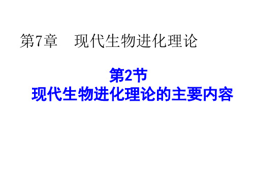 现代生物进化理论的主要内容