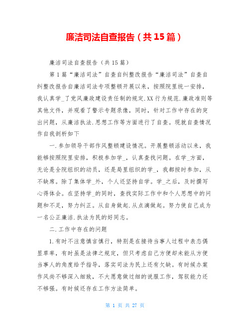 廉洁司法自查报告(共15篇)