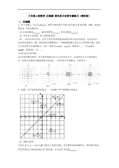 八年级上册数学 压轴题 期末复习试卷专题练习(解析版)