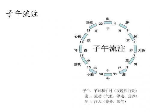 子午流注