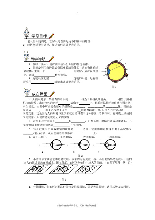 教科版物理八年级上册 4.6.神奇的眼睛 学案