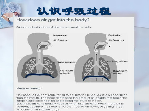 copd健康教育 ppt课件