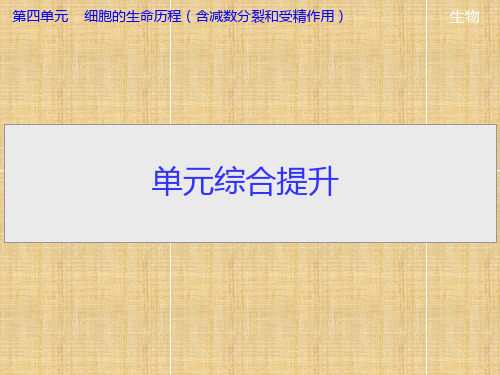 【导学教程】高考生物第一轮复习 第四单元单元综合提升教学名师课件