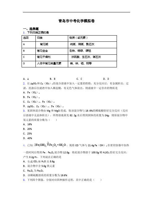 青岛市中考化学模拟卷