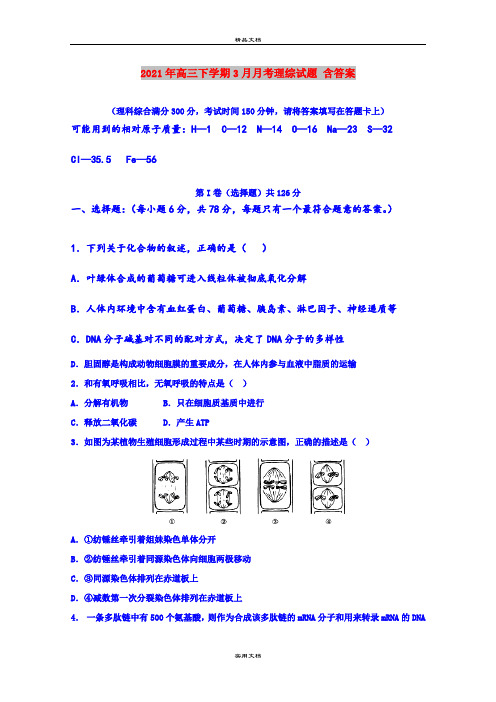 2021年高三下学期3月月考理综试题 含答案