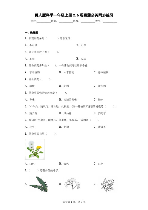 冀人版科学一年级上册2.6观察蒲公英同步练习