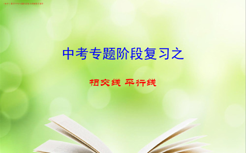 (初中)九年级数学《相交线、平行线》中考专题阶段复习讲解教学课件