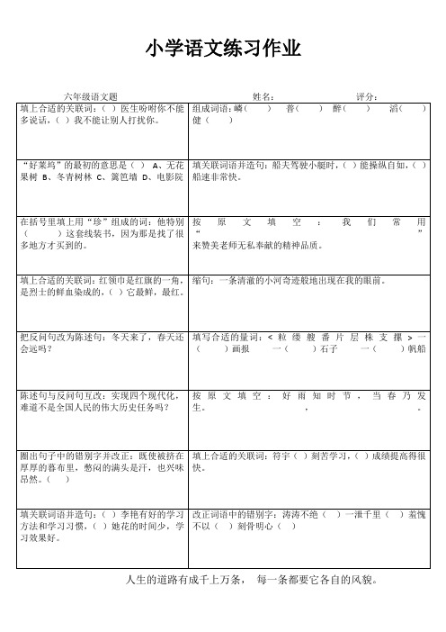 小学六年级语文拓展训练III (32)